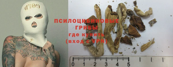 хмурый Нязепетровск