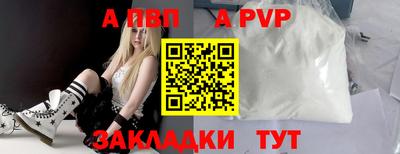 прущие грибы Гусиноозёрск