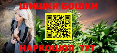 прущие грибы Гусиноозёрск
