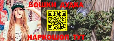 прущие грибы Гусиноозёрск