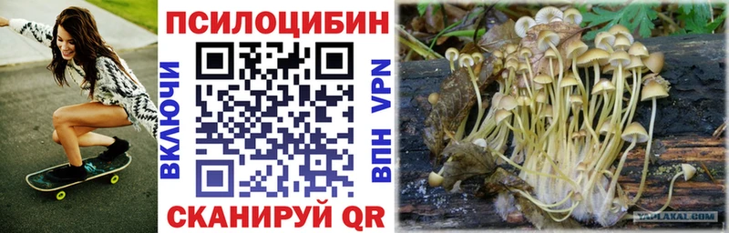 купить наркоту  Кирово-Чепецк  Псилоцибиновые грибы ЛСД 