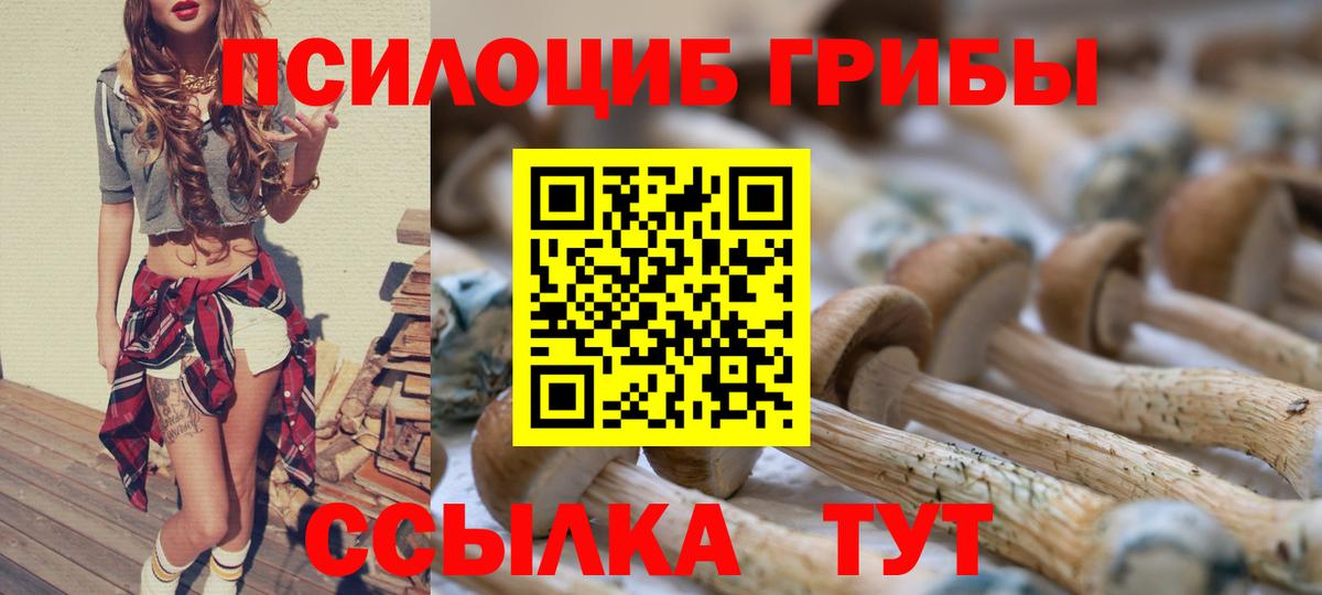 Кирово-Чепецк  Галлюциногенные грибы Magic Shrooms  Вход с VPN 