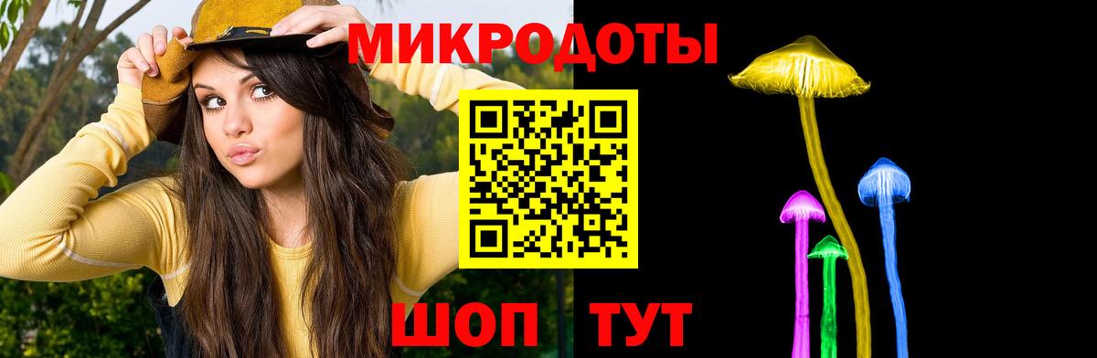 Галлюциногенные грибы Psilocybe Кирово-Чепецк