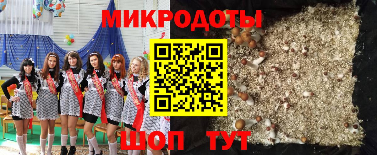 Галлюциногенные грибы MAGIC MUSHROOMS  Галлюциногенные грибы Psilocybe  Кирово-Чепецк 